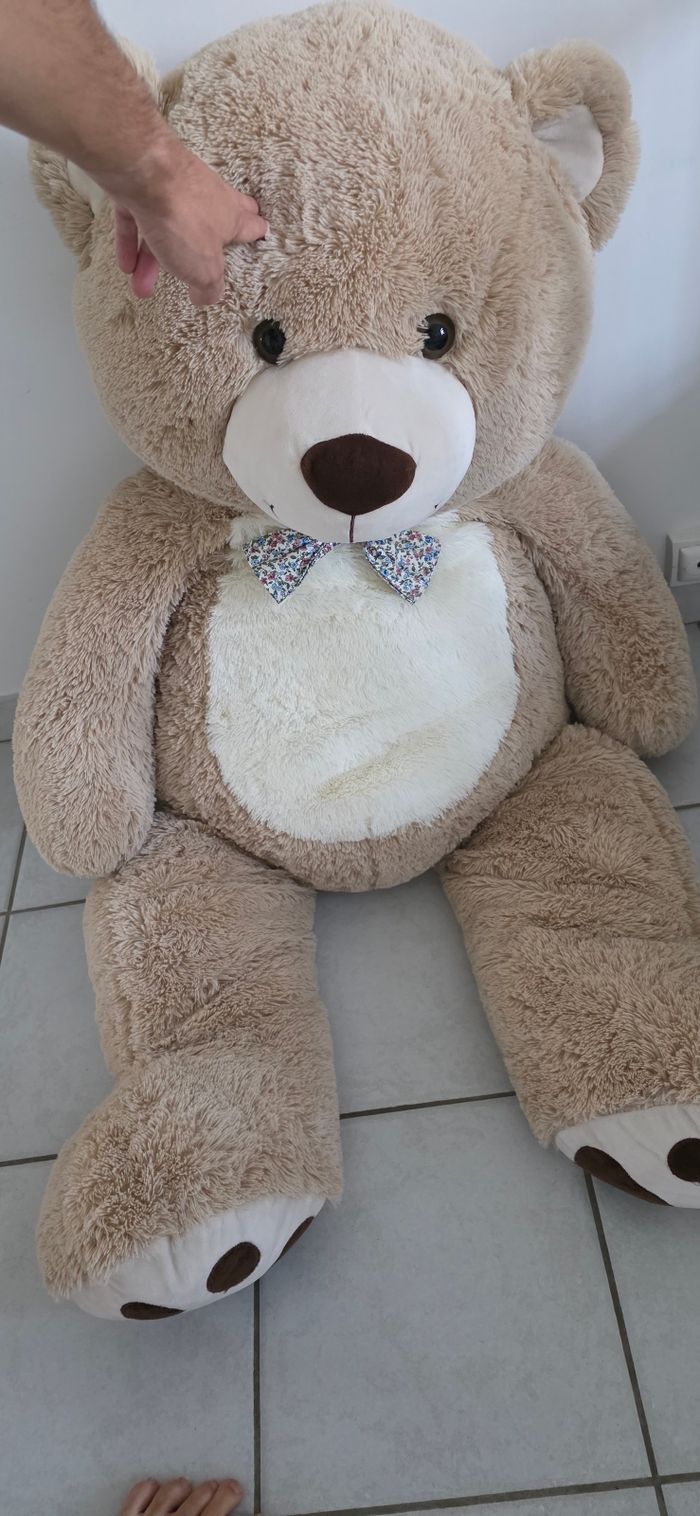 Ours en peluche - photo numéro 2