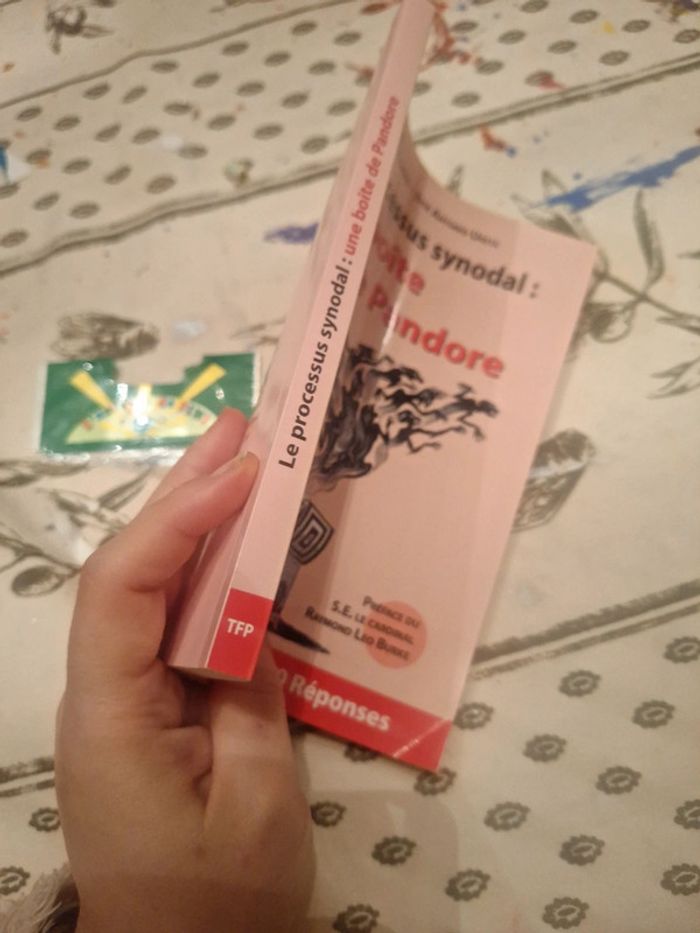 2023le processus synodal une boîte de pandore 100 questions réponses - photo numéro 4