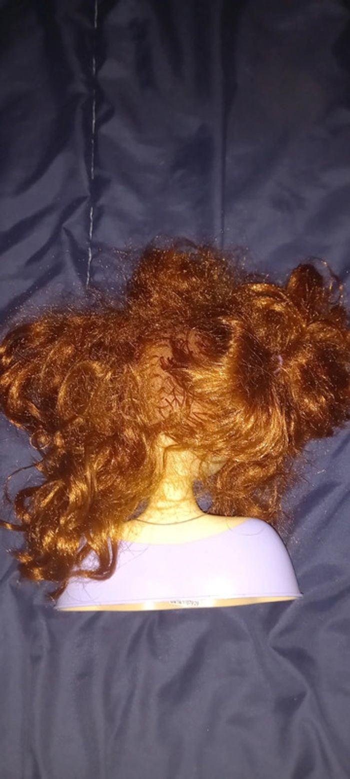 Tête à coiffer - photo numéro 2