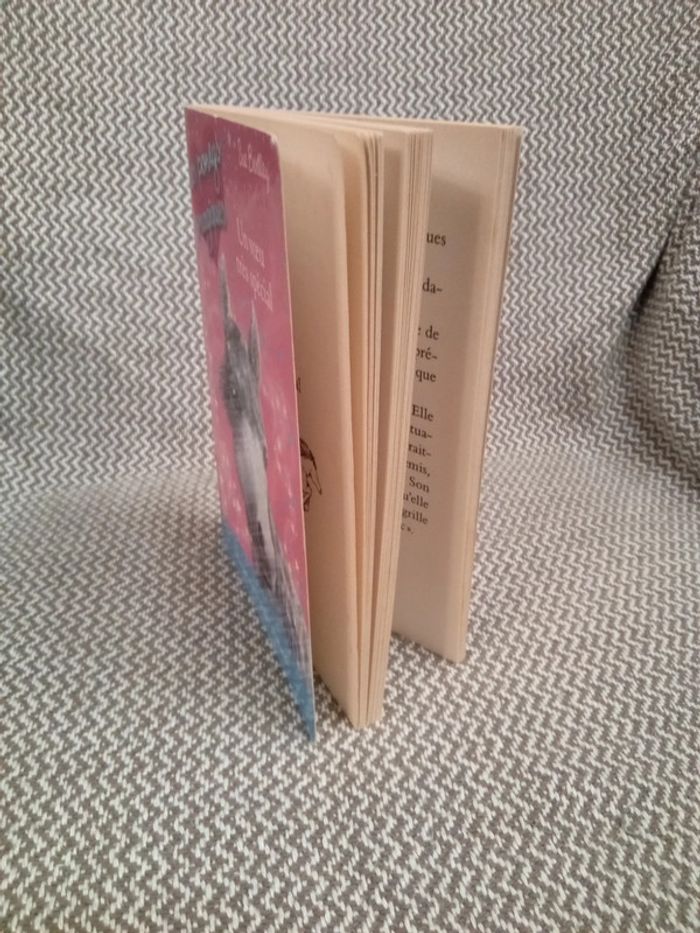 Les Poneys Magiques T.2 -Un voeu très spécial- Pocket Jeunesse - photo numéro 8