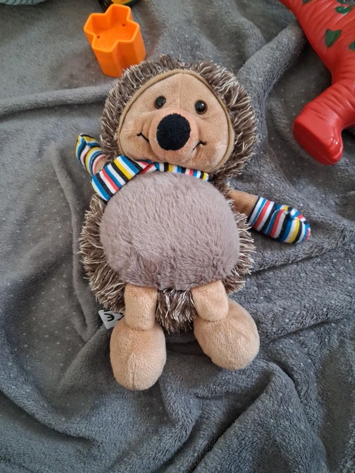 Petit hérisson - photo numéro 2