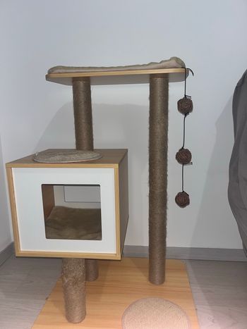 Arbre à chat 