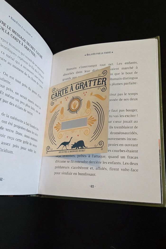 Livre Enquête à la loupe - photo numéro 4