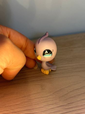 Pigeon Littlest pet shop