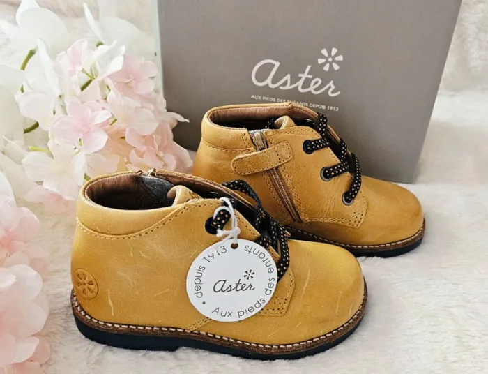 Chaussures Bottes Bottines cuir Zip Aster T24