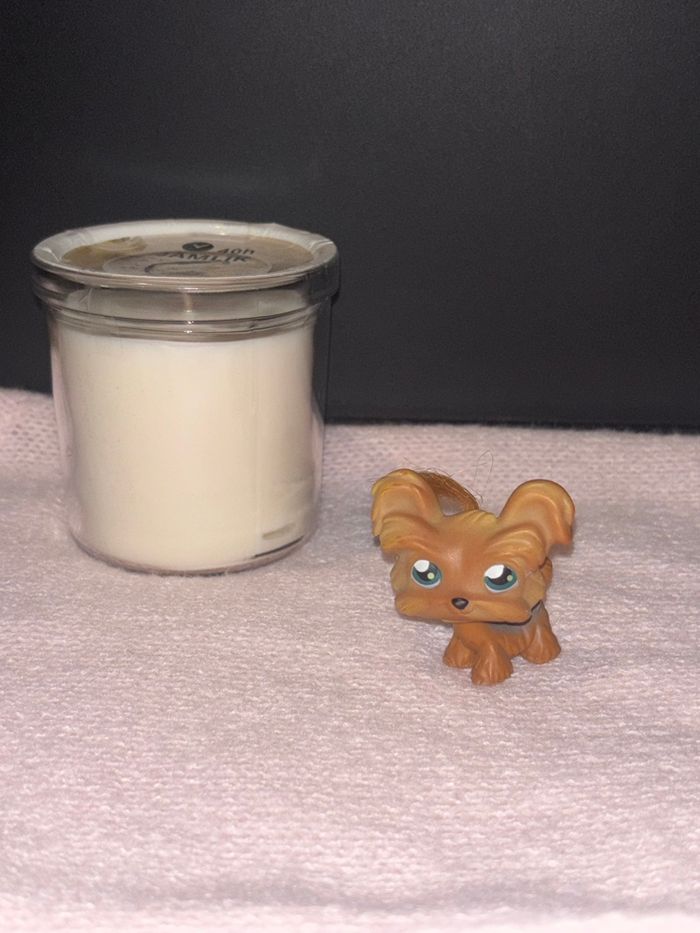 shi tzu #6 - photo numéro 2