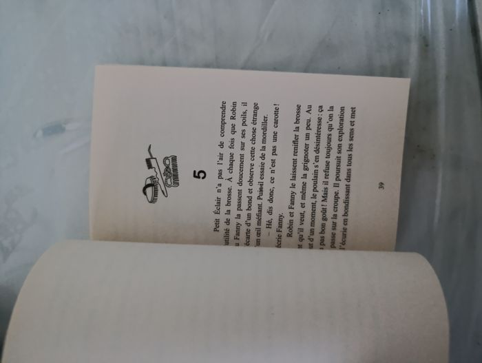 Lot de 7 livres pour enfant Fanny le ranch et les dragons de Nalsara - photo numéro 8