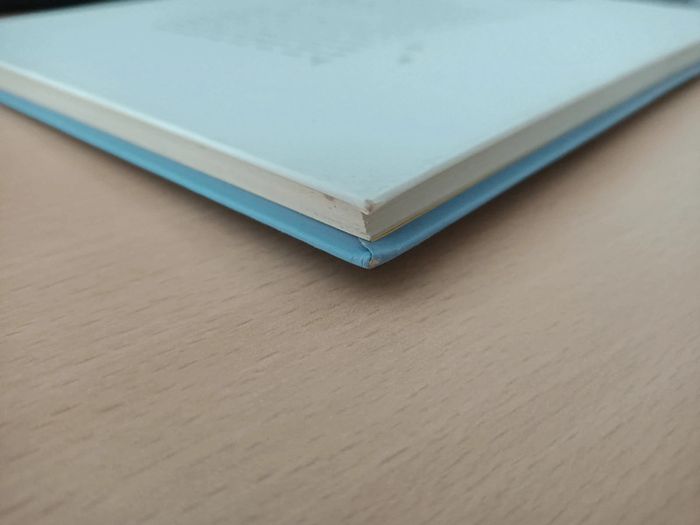 Livre le petit prince (Antoine de Saint-Exupéry / Editions gallimard) - photo numéro 6