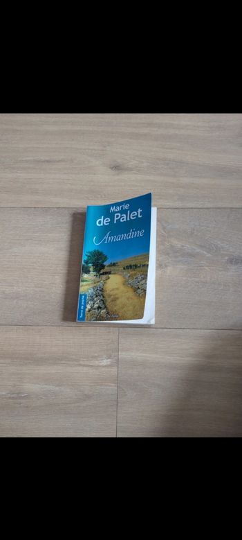 Livre Amandine marie de palet