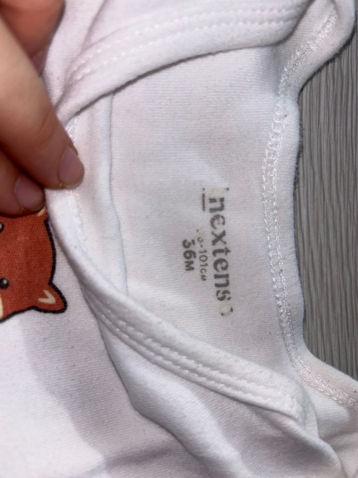 3 bodies, Inextenso, 3 ans - photo numéro 4