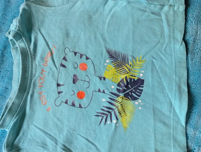 Tee-shirt garçon bleu 6 mois - photo numéro 2