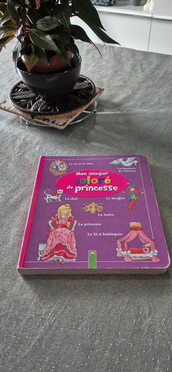 Livre mon imagier coloré de princesse