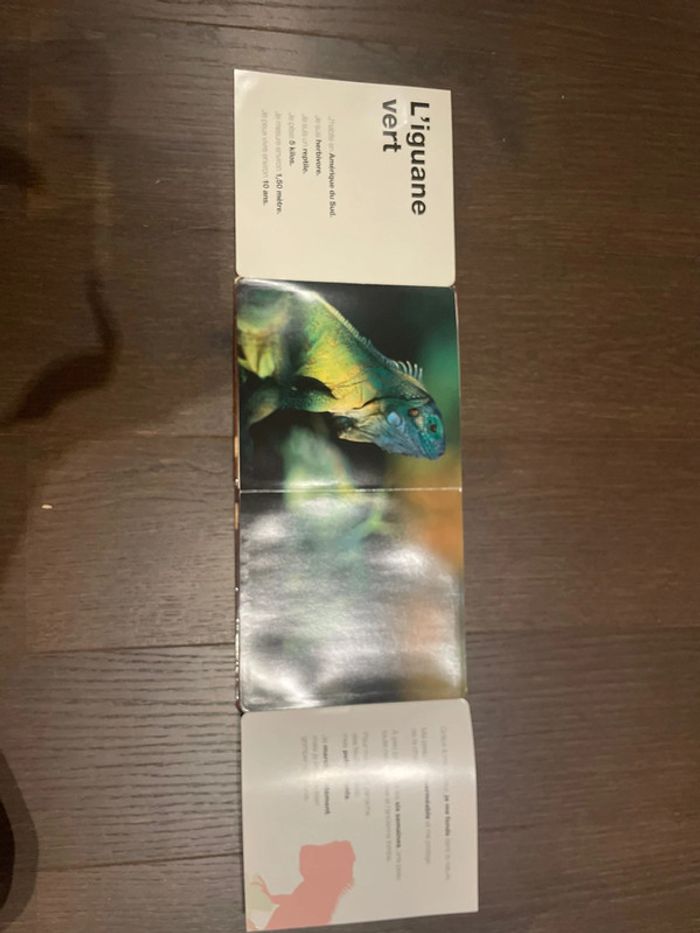 Drôles de peaux! - photo numéro 3