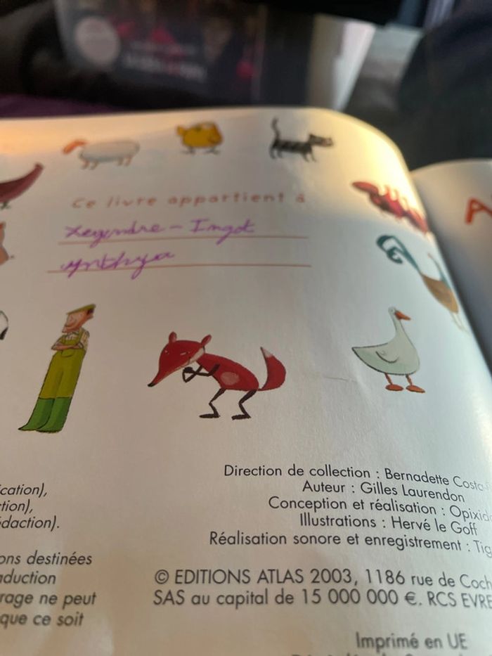 Bientôt je lis - Albert le poussin qui fait tout de travers - photo numéro 4