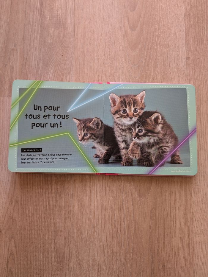 Livre Chats mignons - photo numéro 5