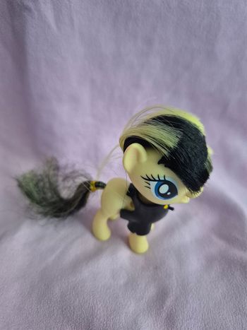 Petit poney