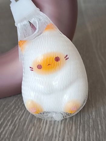 Chat anti stress relaxant