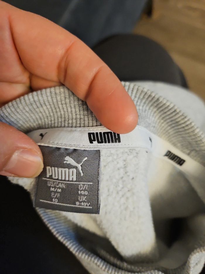 Pull puma - photo numéro 3
