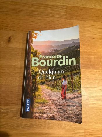 Roman Quelqu’un de bien Françoise Bourdin