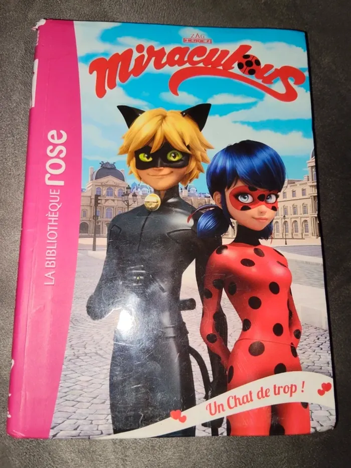 Lot livres Miraculous - photo numéro 5