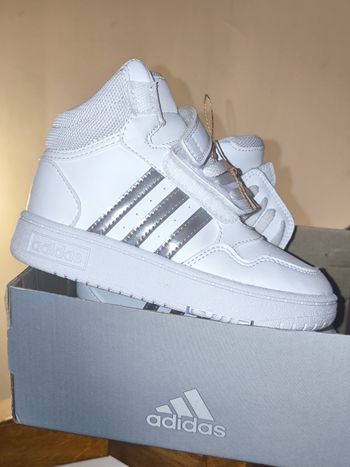 Baskets montantes Adidas Hoops p.27