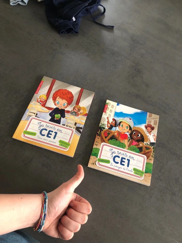 Livres CE1 - photo numéro 12