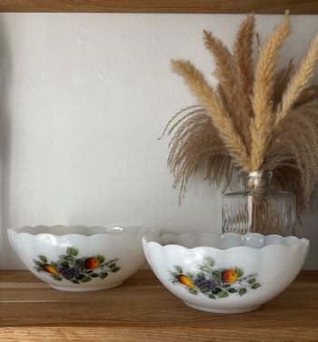 Vintage lot de 2 saladiers Arcopal fruits du verger