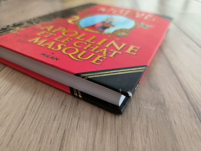 Livre Apolline et le chat masqué Riddell - photo numéro 4