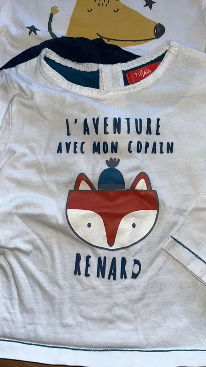 Lot tee-shirts manche longue 18 mois - photo numéro 8