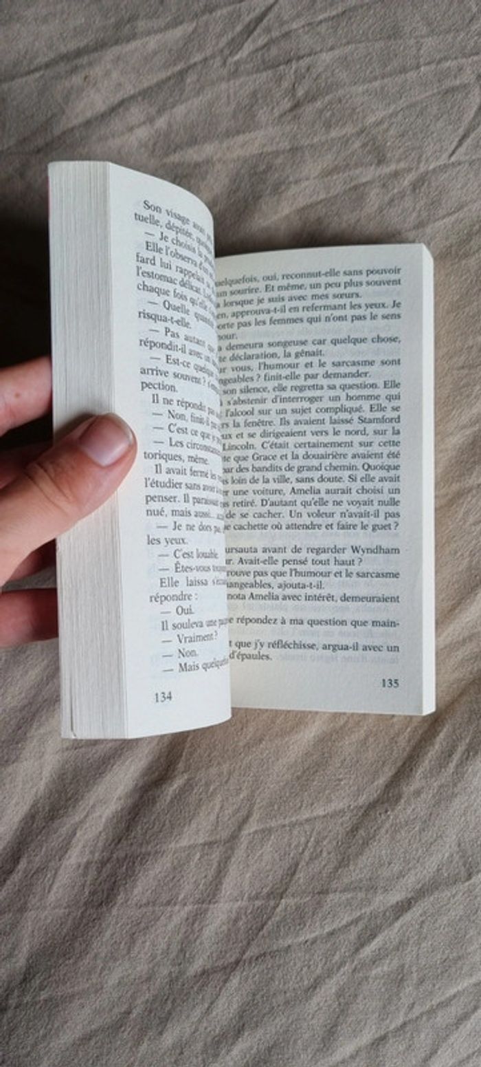 Les Deux Ducs De Wyndham - Tome 2 - photo numéro 4