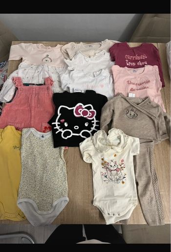 Lots de vêtements fille 9 mois 