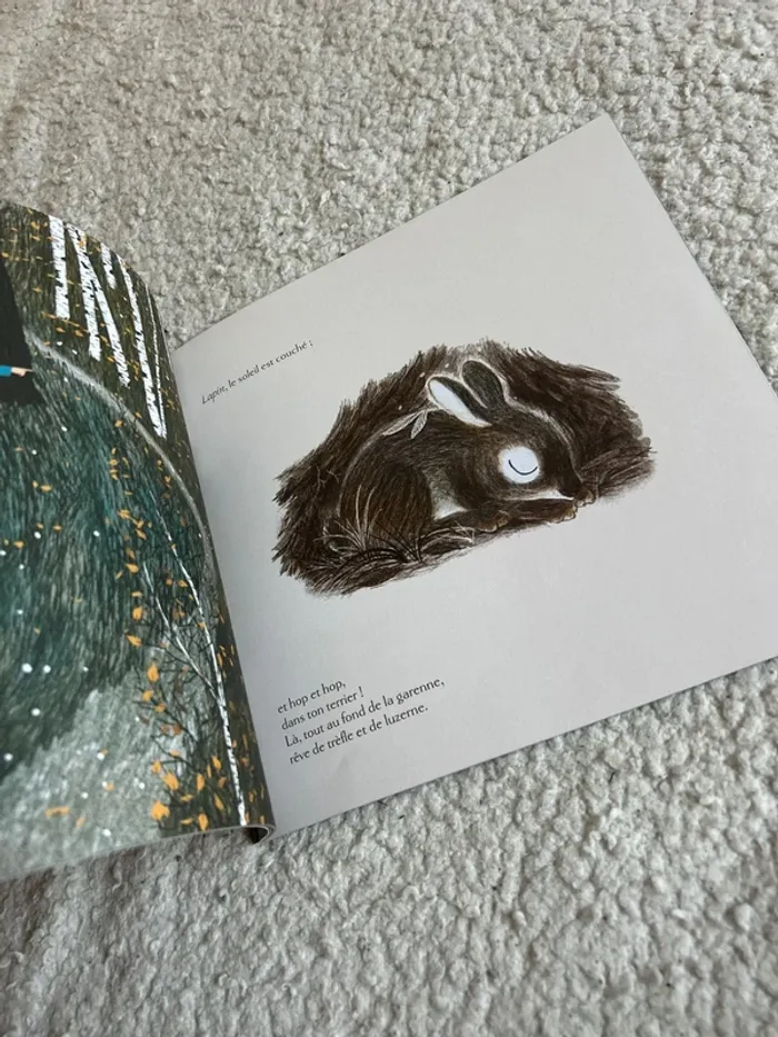 Au bois dormant - photo numéro 2