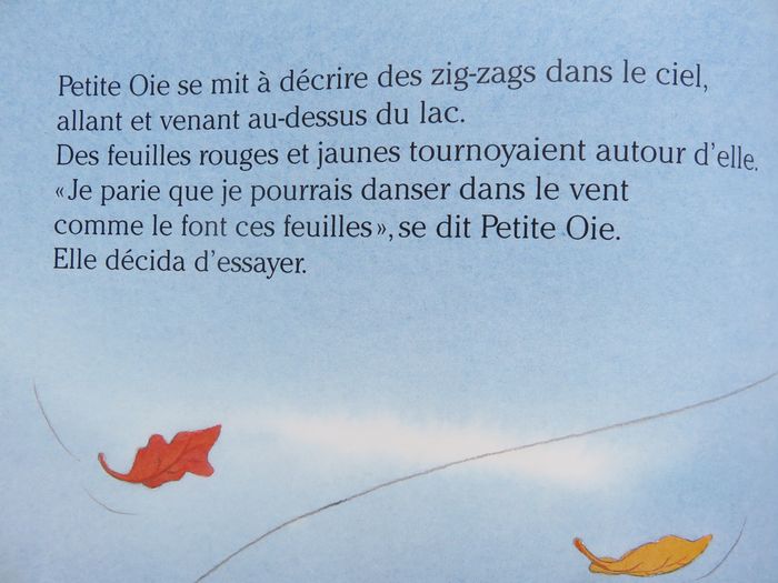 Album 3 à 6 ans : Petite oie (Claire Freedman & Vanessa Cabban) - photo numéro 10