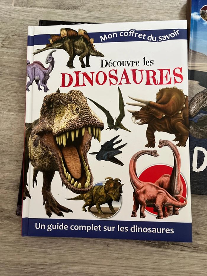 Lot 3 livres dinosaure - photo numéro 4