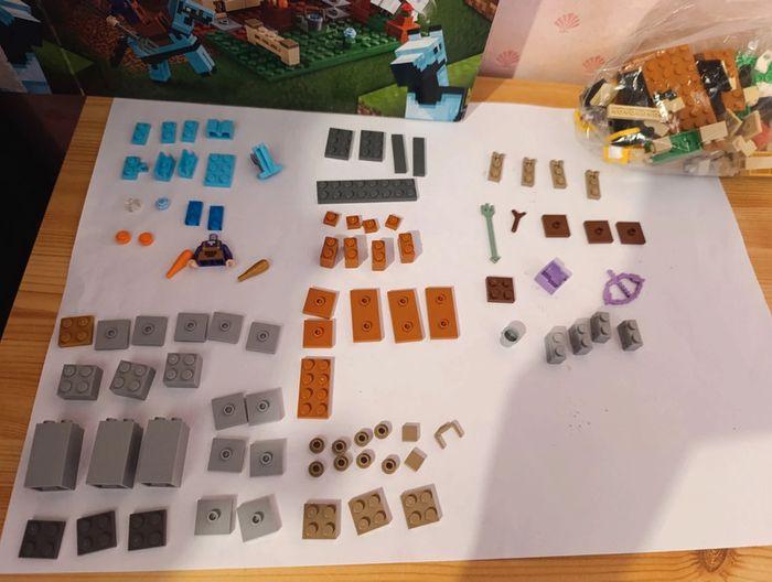 Lego Minecraft 21171 - photo numéro 5
