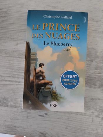 Le prince des nuages. Christophe Galfard
