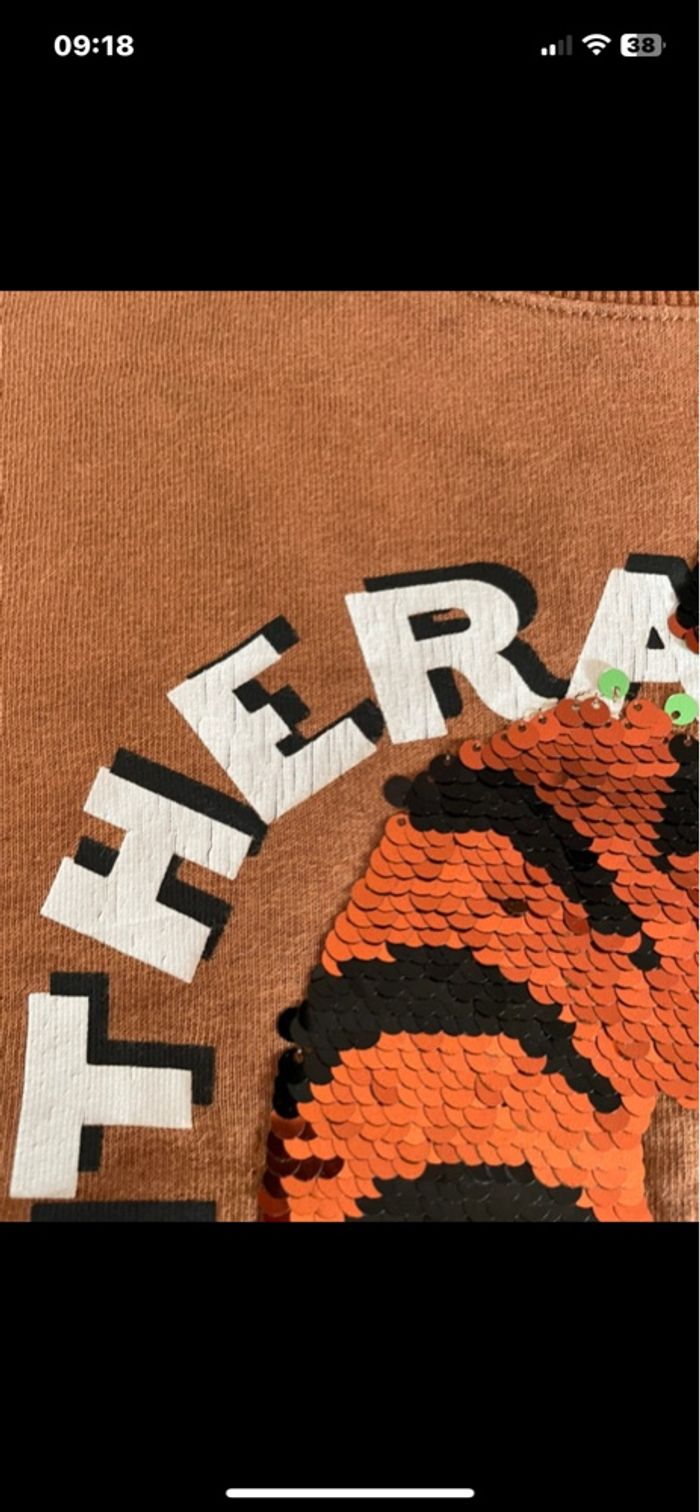 Sweat 6 ans - photo numéro 3