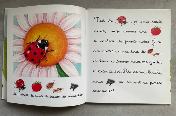 Livre je lis avec - photo numéro 3