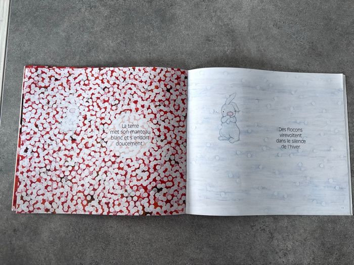 Livre « neige » - photo numéro 6