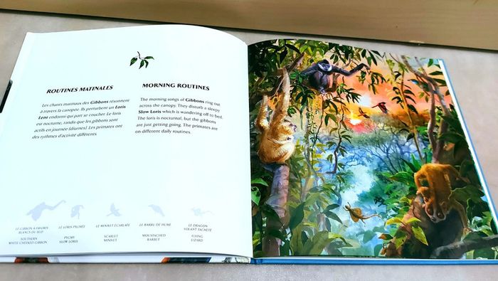 📚 Livre en anglais et français : Merveilles des annamites/ Wonders of the annamites - photo numéro 6