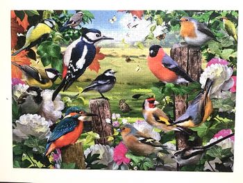 Puzzle oiseaux 1000 pièces