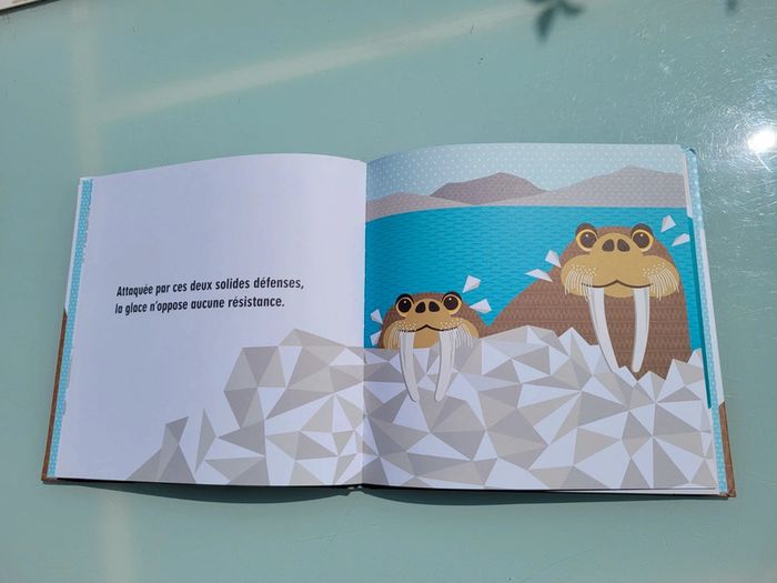 Livre animé 🦭 La Famille Pôles 🐧 - photo numéro 5