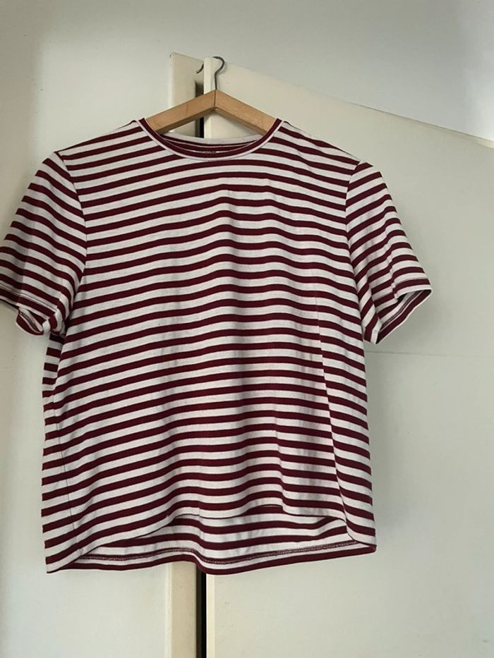 T shirt