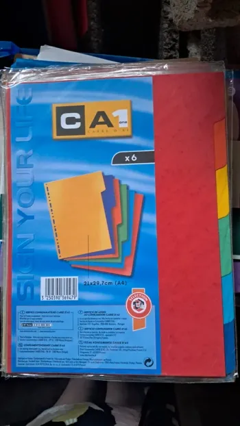 Intercalaires  lot de 6