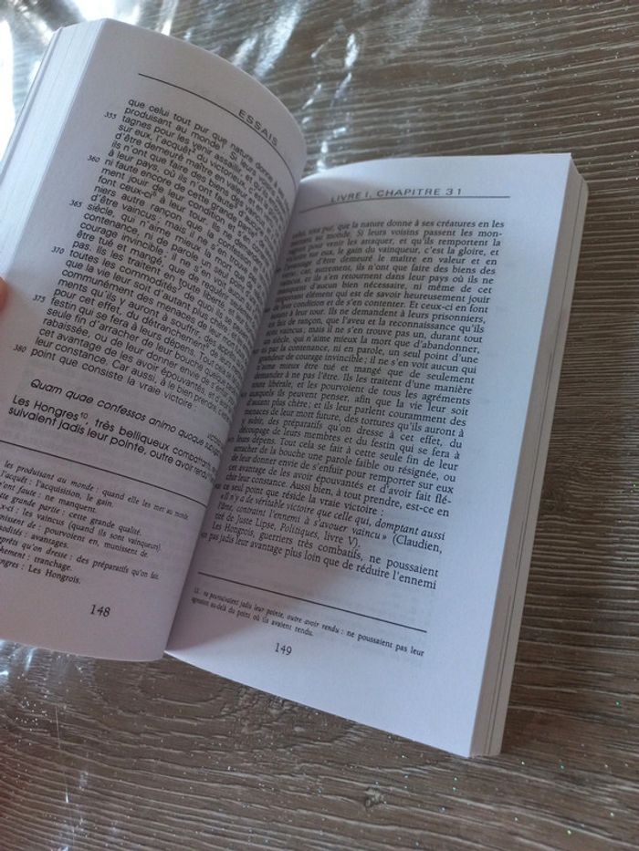 Essais Montaigne - photo numéro 4