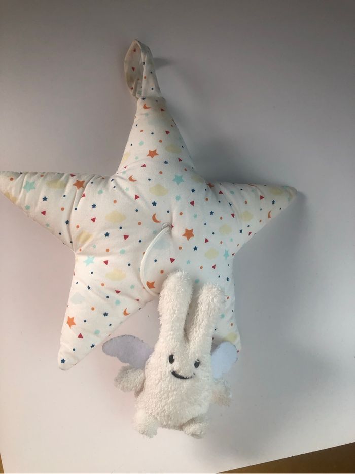 Lapin ange Trousselier - photo numéro 2