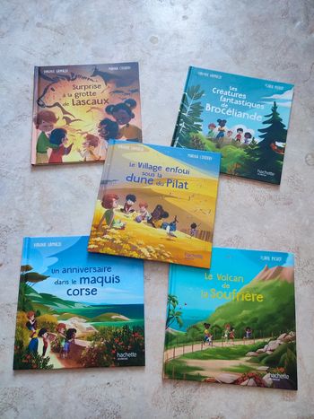 Lot de 5 livres les merveilles de France