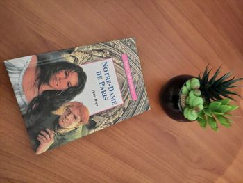 Livre notre Dame de Paris