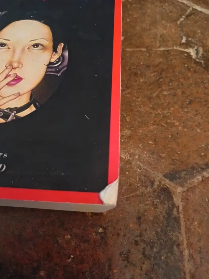 Livre millenium 2 la fille qui rêvait d'un bidon d'essence et d'une allumette - photo numéro 2