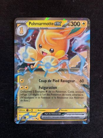 Pohmarmotte ex 73/197 Ev10